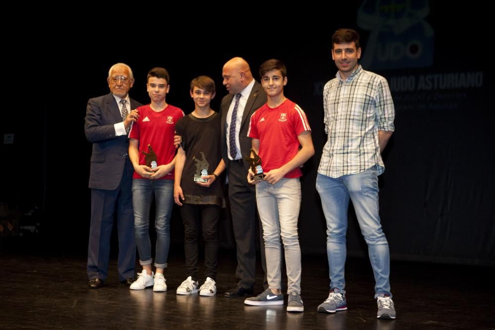 XXVI Gala del Judo Asturiano en el Nuevo Teatro de La Felguera