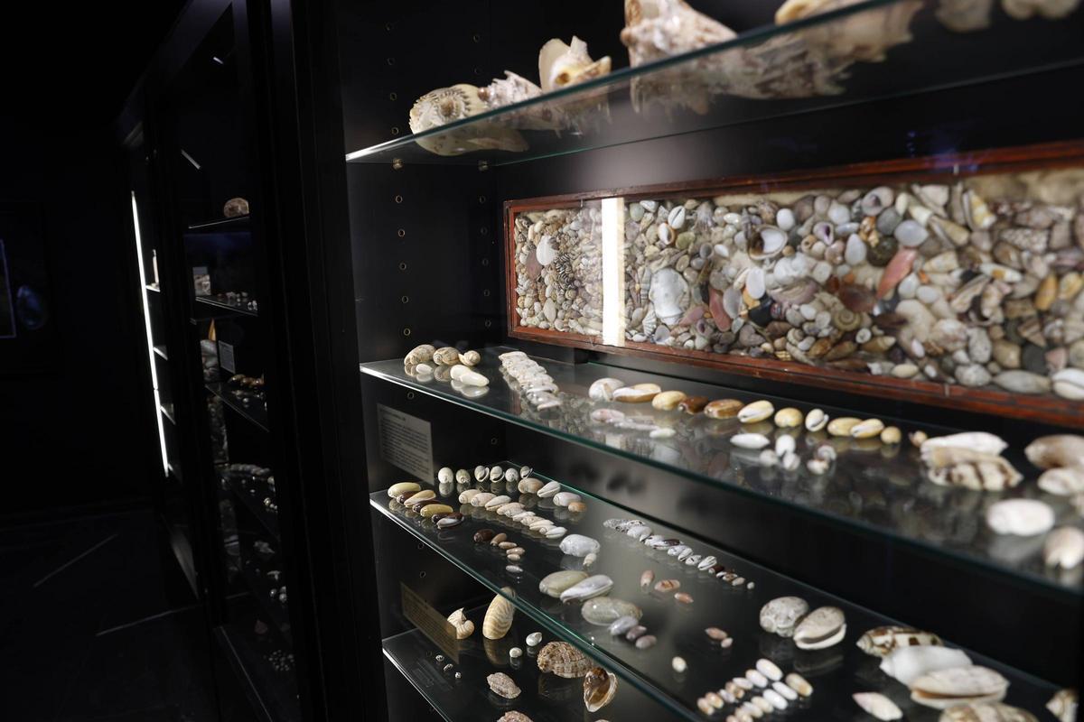 Un recorrido por el museo Evaristo Valle, en imágenes