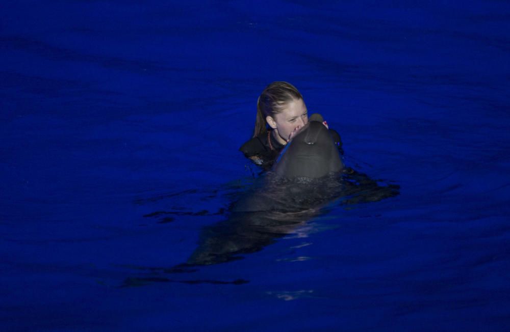 Estreno de las Noches de l'Oceanogràfic