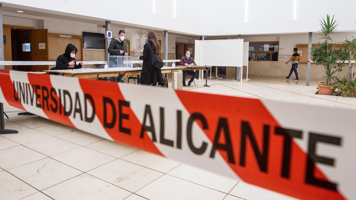 Los catedráticos Amparo Navarro y José Vicente Cabezuelo se disputan este jueves el Rectorado de la UA