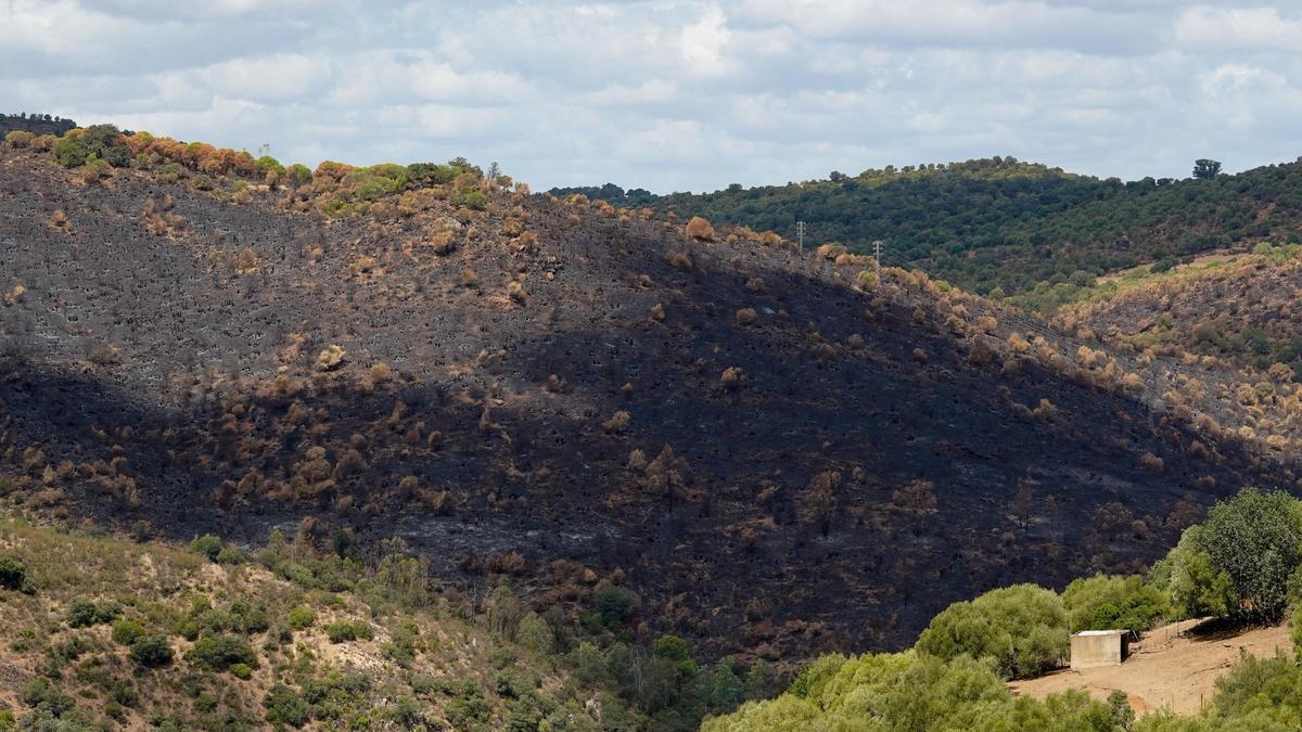 CATÁSTROFES NATURALES | Andalucía activa su plan tras el peor agosto de incendios y terremotos: 31 zonas catastróficas en Sevilla, Huelva y Granada y un «desastre natural» en Niebla