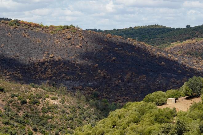 Andalucía activa su plan tras el peor agosto de incendios y terremotos: 31 zonas catastróficas en Sevilla, Huelva y Granada y un "desastre natural" en Niebla