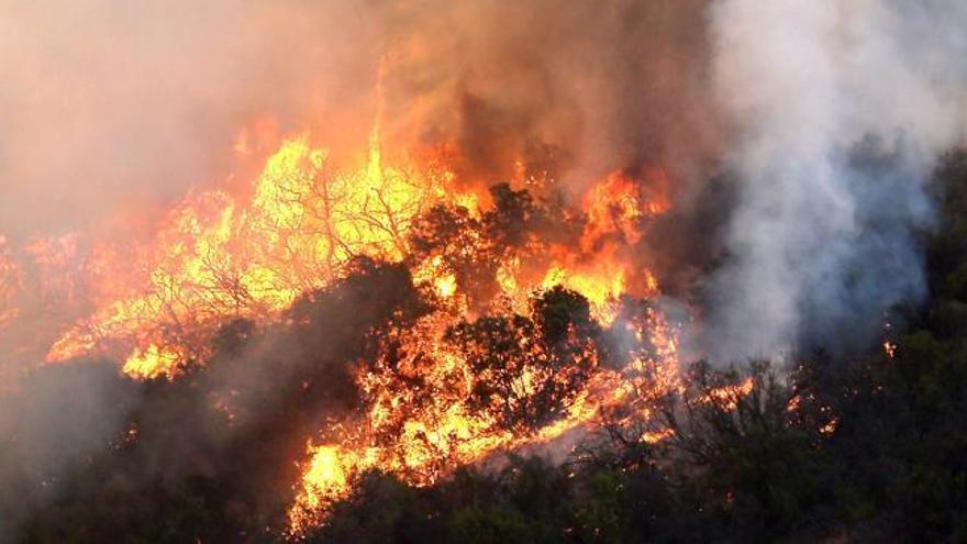 Los Ángeles, azotado por varios incendios forestales