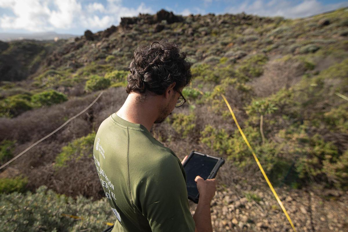 Eiroa apunta los datos en una tablet para luego compararlos con los de satélite.