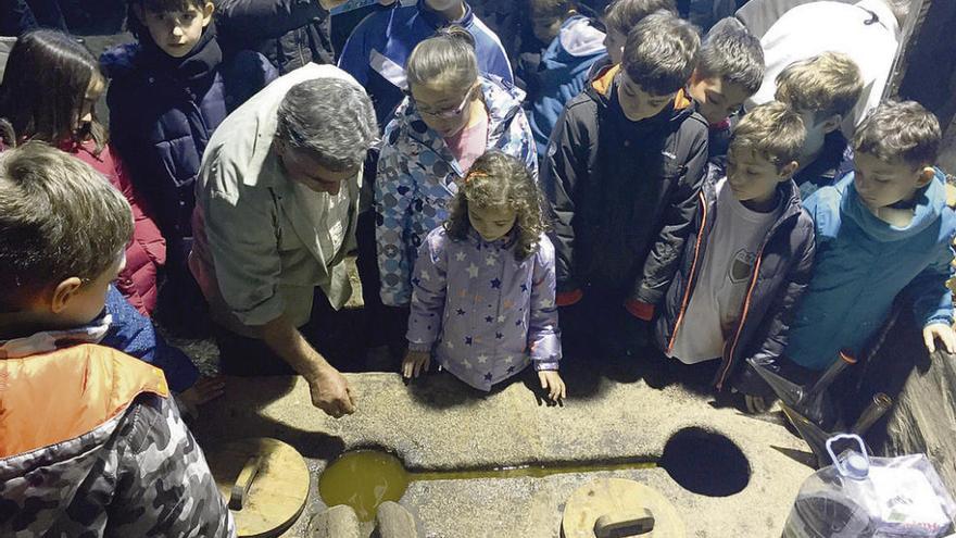 Un grupo de niños y niñas observan el aceite extraído del proceso de elaboración y a la derecha el animal da vueltas para realizar la molienda.
