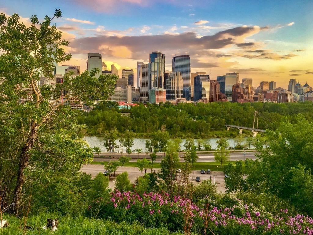 Naturaleza y urbanismo conviviendo en armonía en Calgary