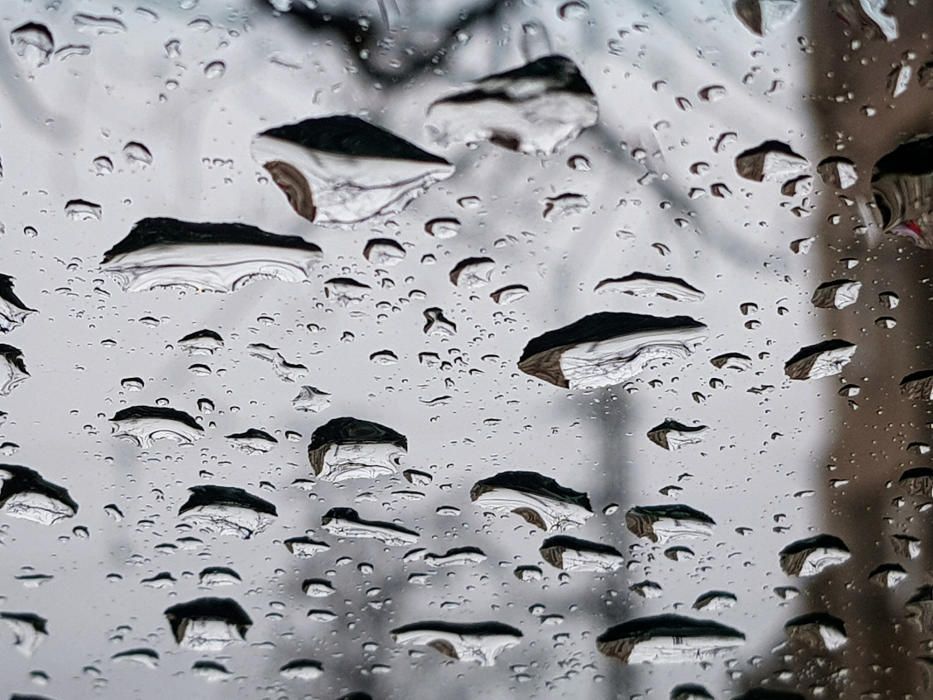 Gotes. En un dia de pluja, vèiem com gotes d’aigua de diferents mides lliscaven damunt del vidre.