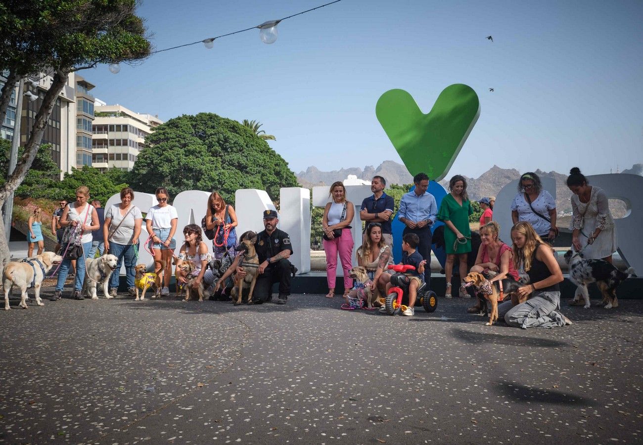 Día de los Animales en Santa Cruz