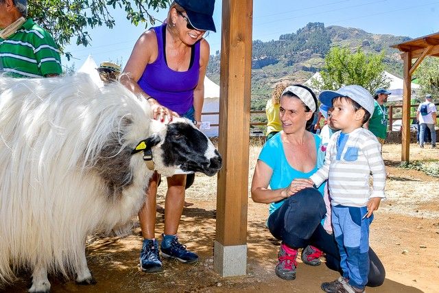 Festival de Sostenibilidad, Cultura y Soltura en Valsequillo