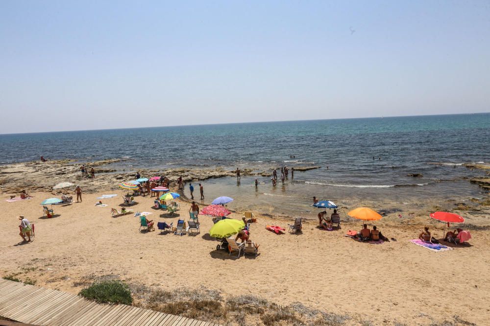 Los bañistas aseguran que no están en contra de la medida pero reclaman que se zonifique la playa para usuarios con perros y sin perros