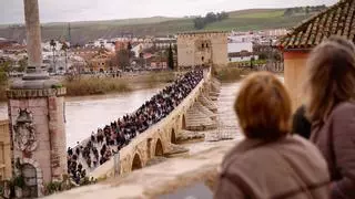 Cientos de personas pasan por el Puente Romano de Córdoba tras su reapertura