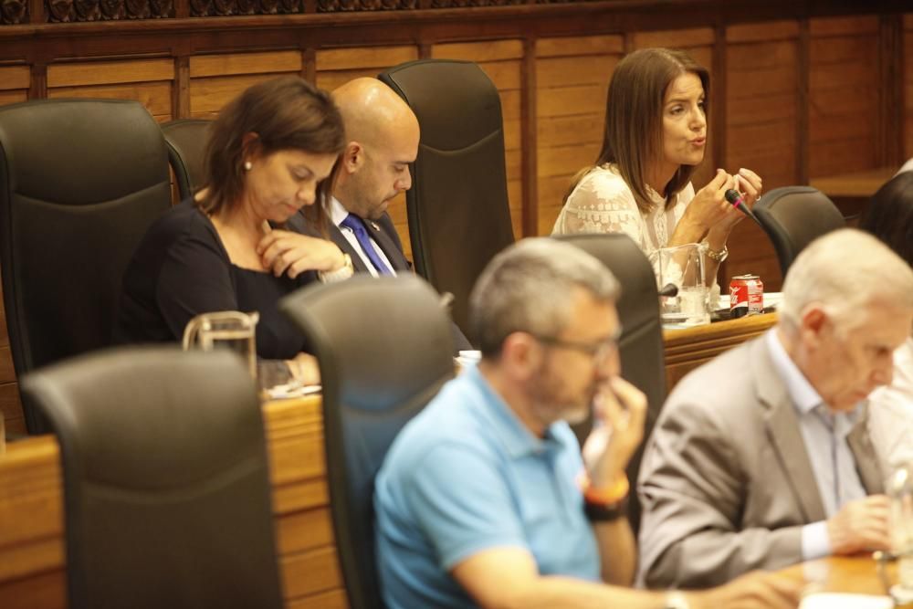 Pleno del Ayuntamiento de Gijón