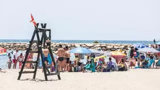 Sin socorristas en las playas de El Campello: "Es peligroso bañarse en estas condiciones"