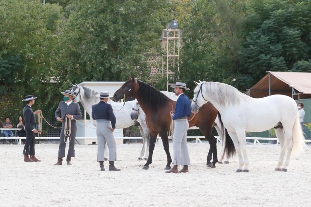 Cabalcor desafía a la lluvia