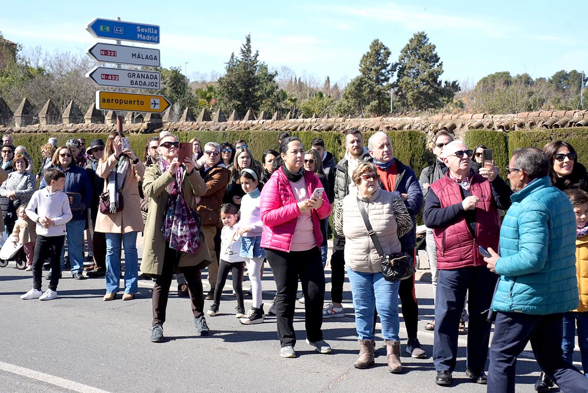 los caballos reinan en Córdoba el 28F