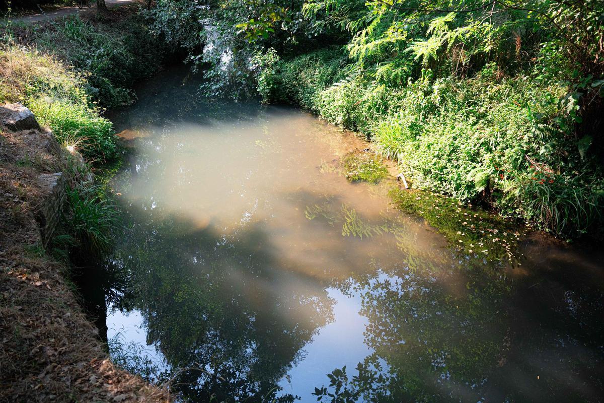 Vertido al río Lagares, en Vigo, el verano pasado.