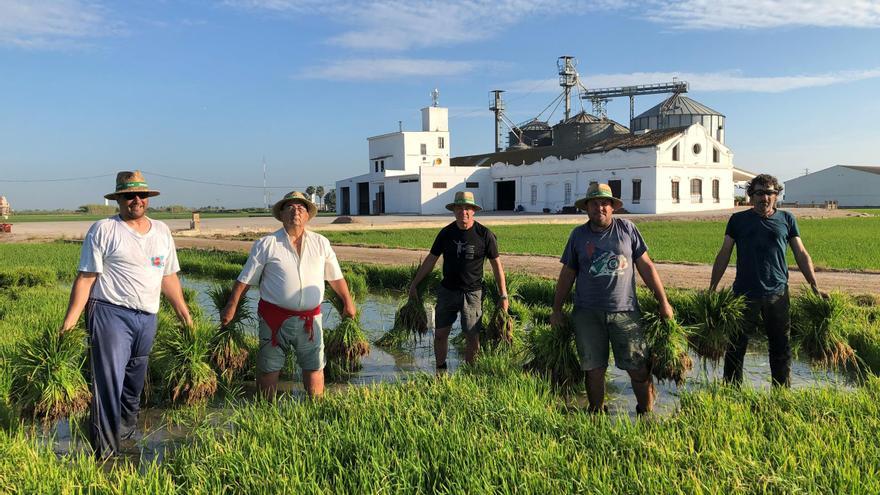 Un arroz de calidad para conseguir el mejor sabor