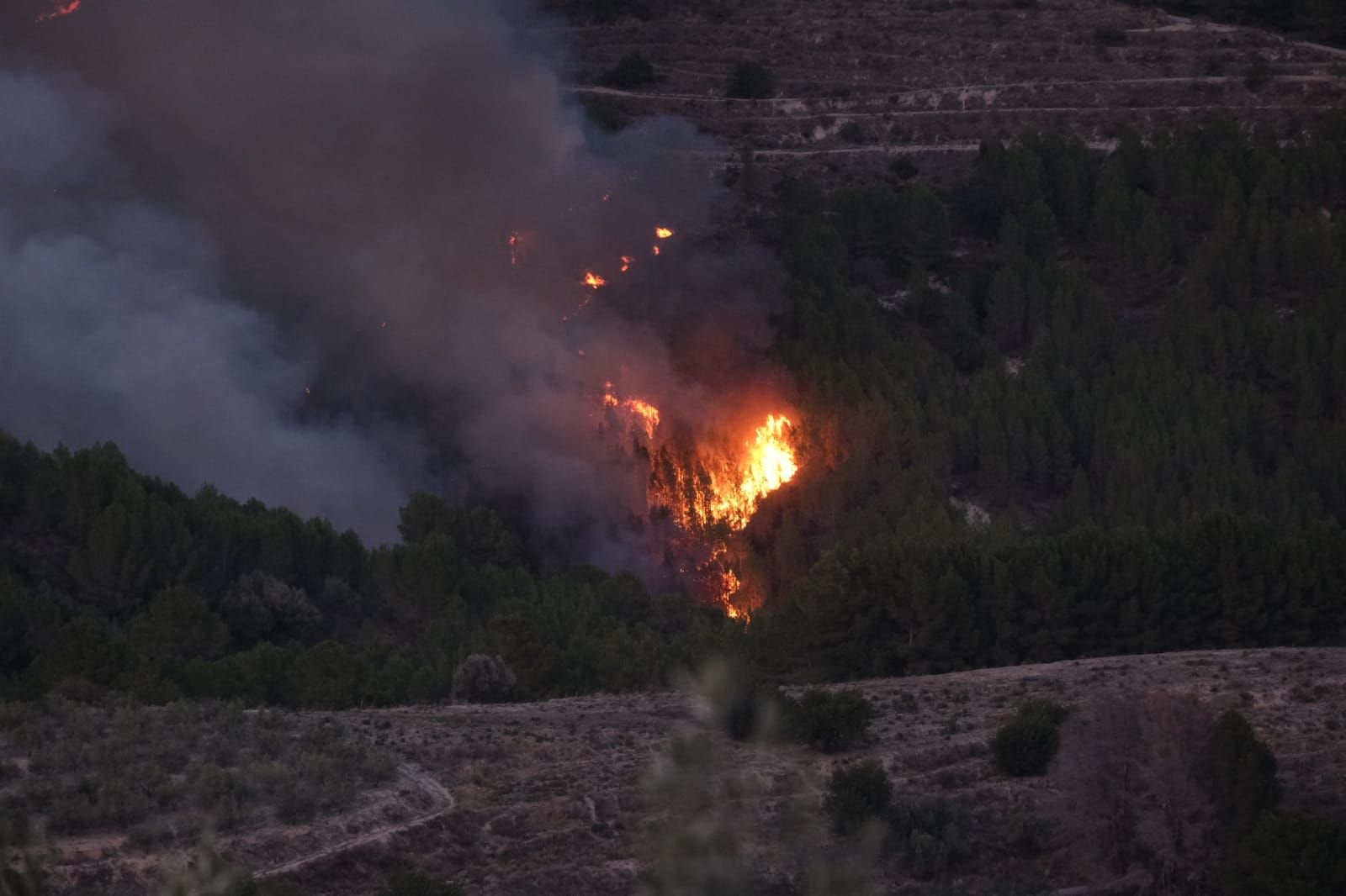 Las imágenes del incendio forestal declarado en Tàrbena