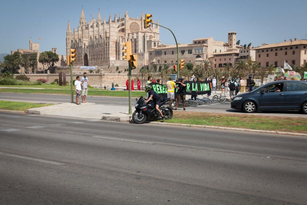 Corte de carretera en Palma contra el cambio climático