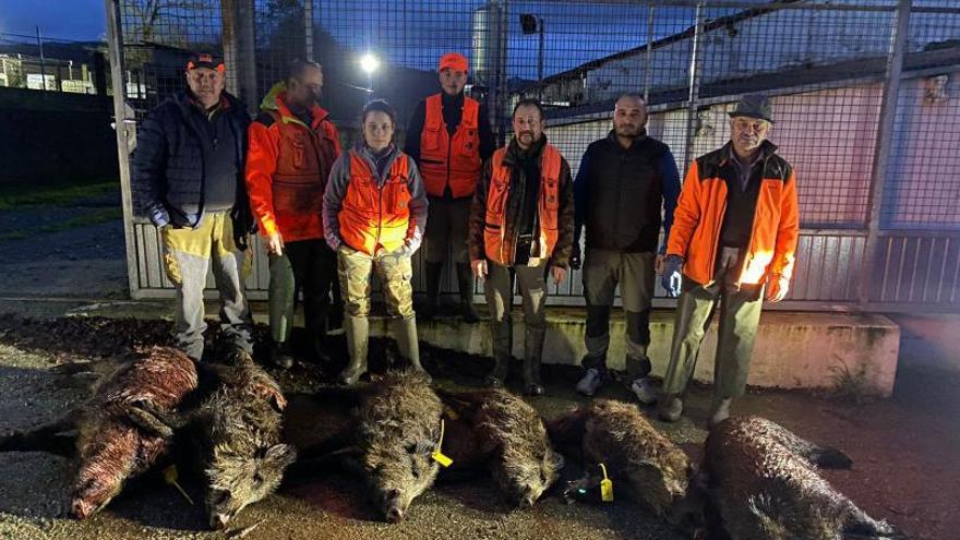 La temporada de caza mayor arrancará con una densidad de jabalí similar a la del pasado año