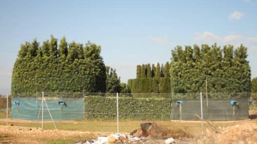 «Parany» construido en la comarca de Los Serranos.