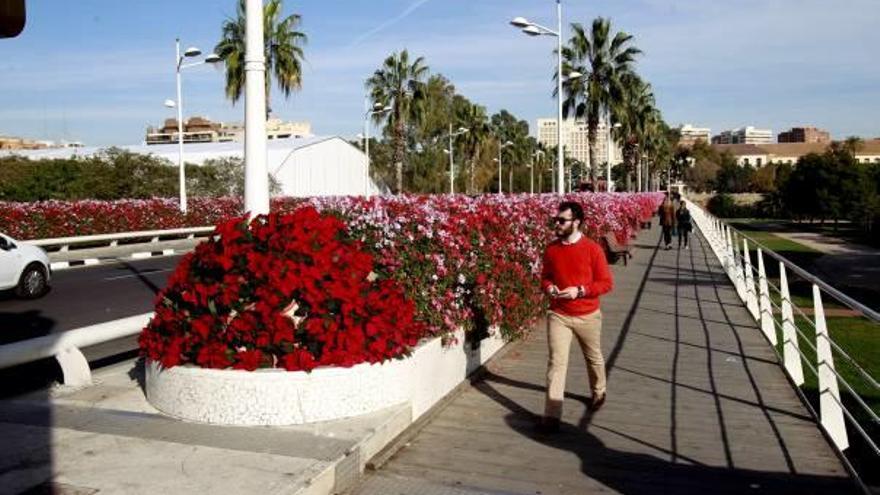 Una de las iniciativas propone poner el nombre de Rita Barberá al puente de las Flores.