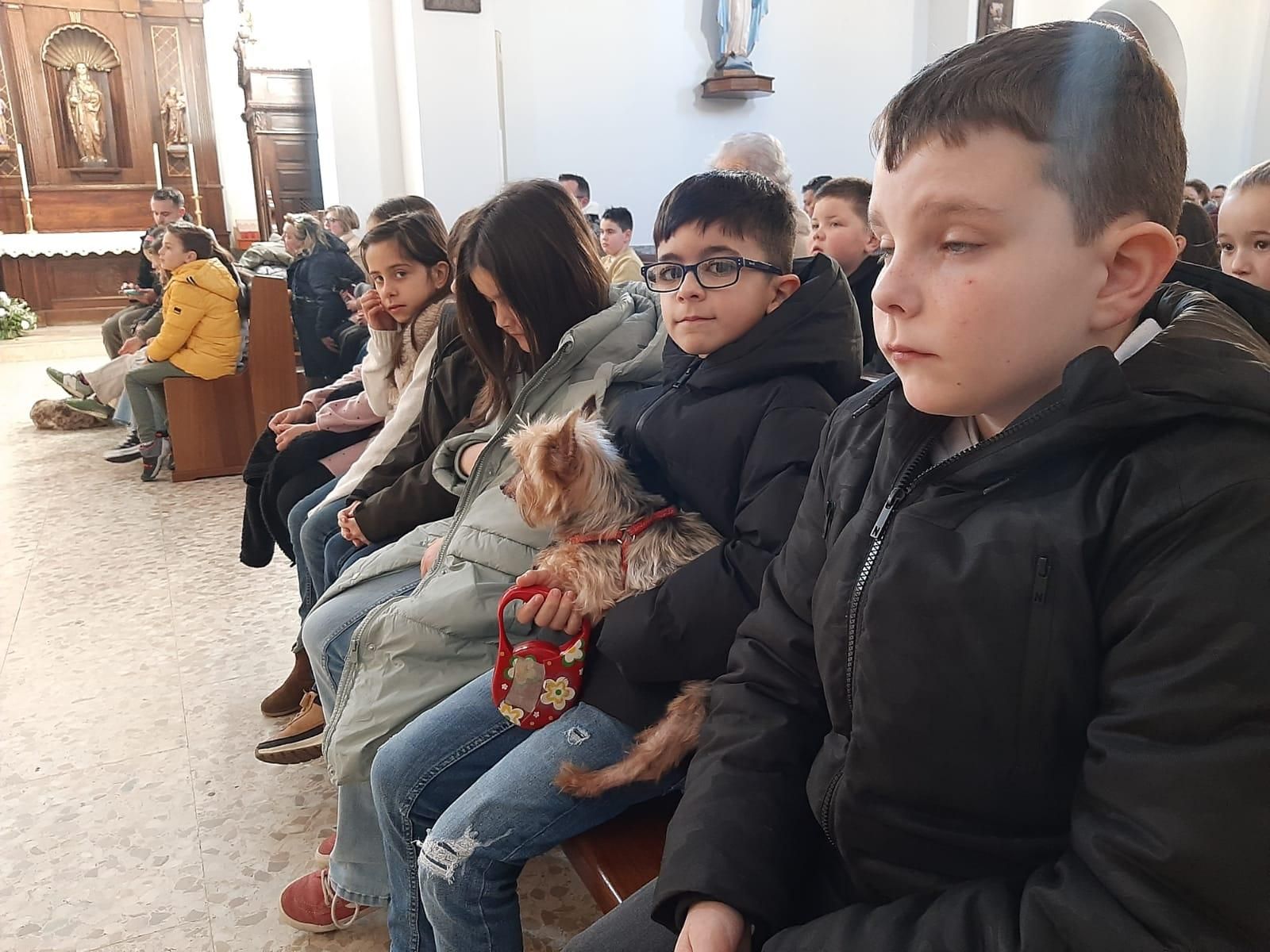 Los animales, protagonistas en Lugones: el día de San Antón en imágenes