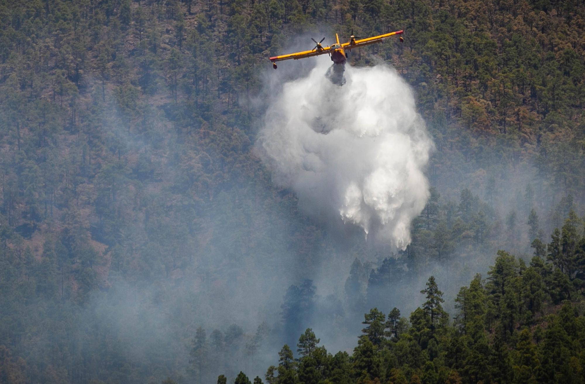 Incendio en Arico