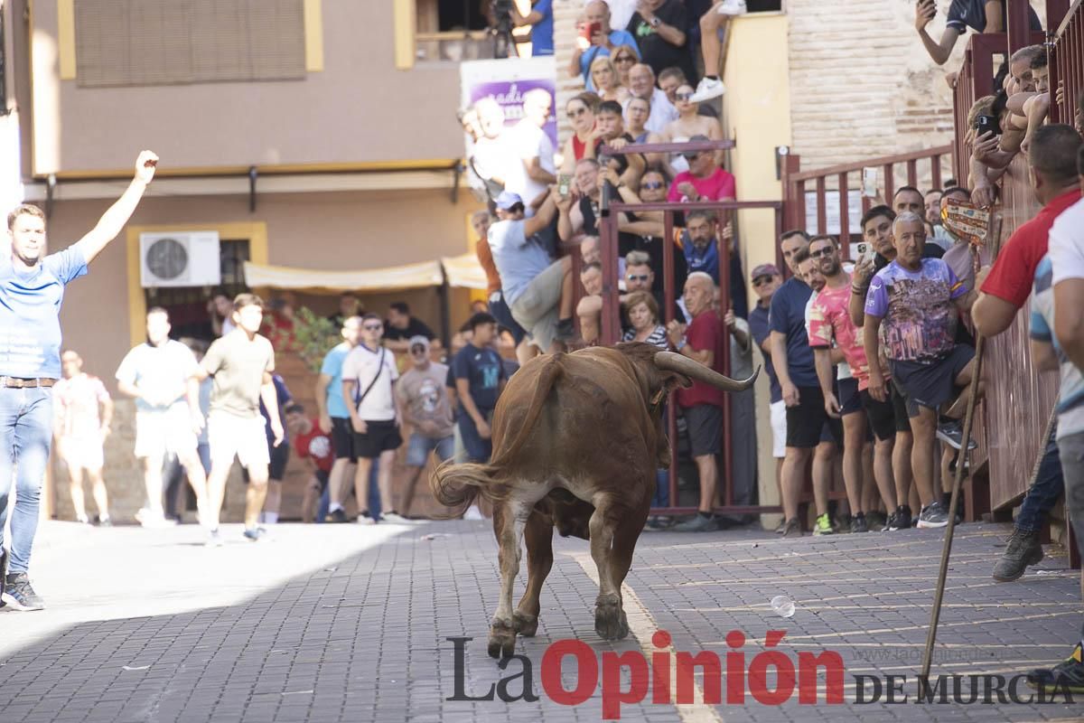 Tercer encierro de las Fiestas de Moratalla
