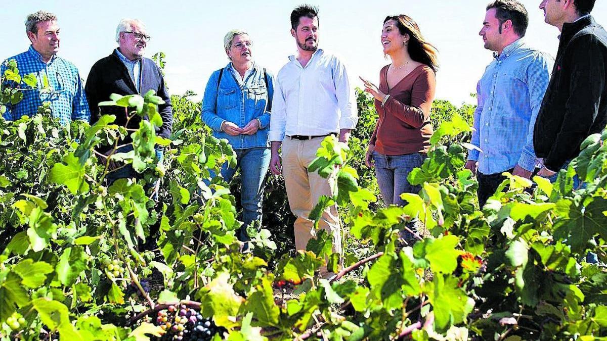 Las bodegas de Requena también viven de sus cavas