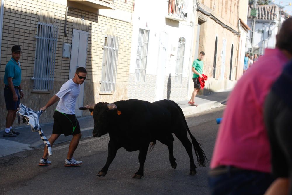 Encierro Urbano Bóveda de Toro