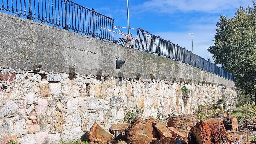 La barandilla del Puente de Piedra de Zamora sustituirá la rota en la avenida del Mengue
