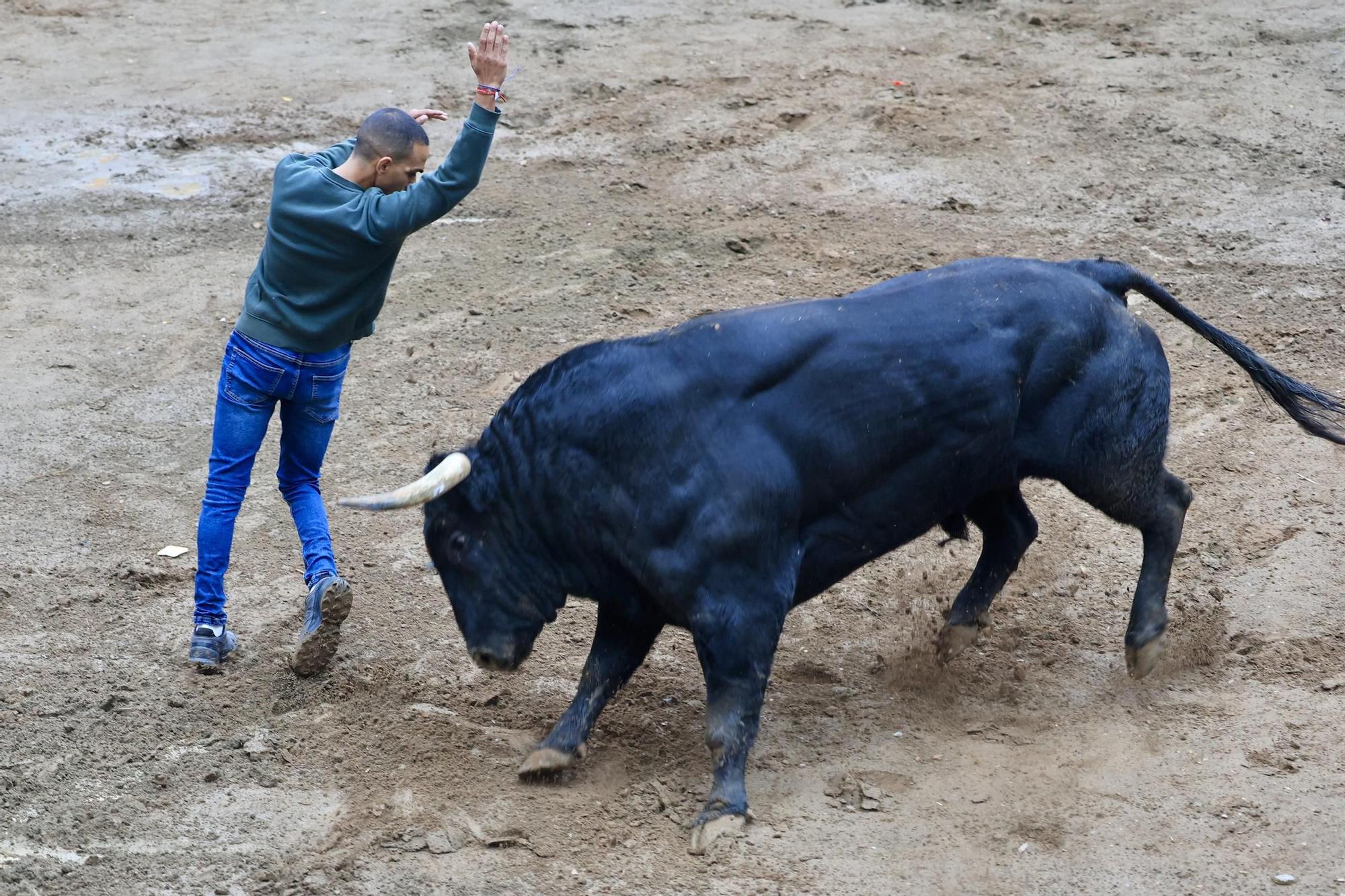Galería de fotos de la penúltima tarde de toros de las fiestas del Roser en Almassora