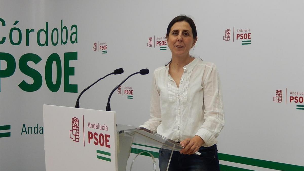 El PSOE reclama a la Junta que rectifique el &quot;recorte de 12,5 millones&quot; a Córdoba en el plan de empleo Aire
