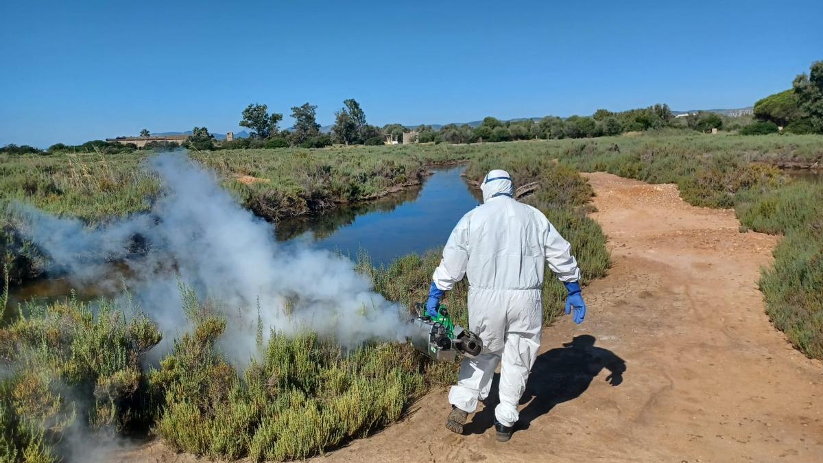 Tratamientos terrestres contra los mosquitos realizados estos días en Torreblanca.