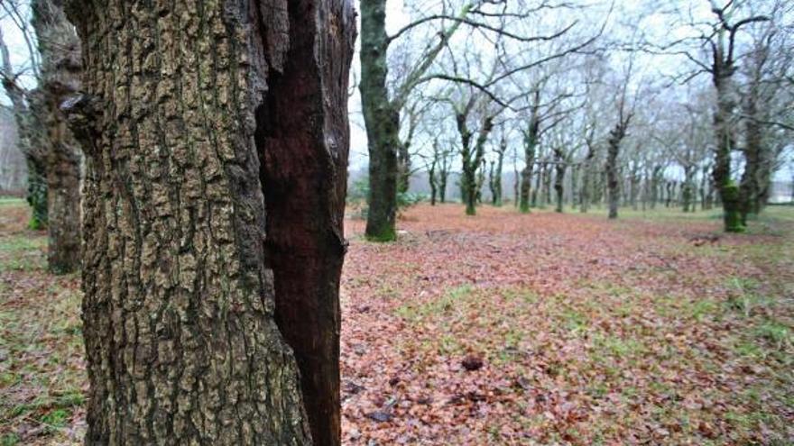 La naturaleza, eje de la nueva campaña turística de la provincia