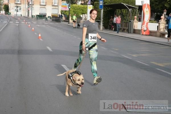 Run for Parkinson Canicross