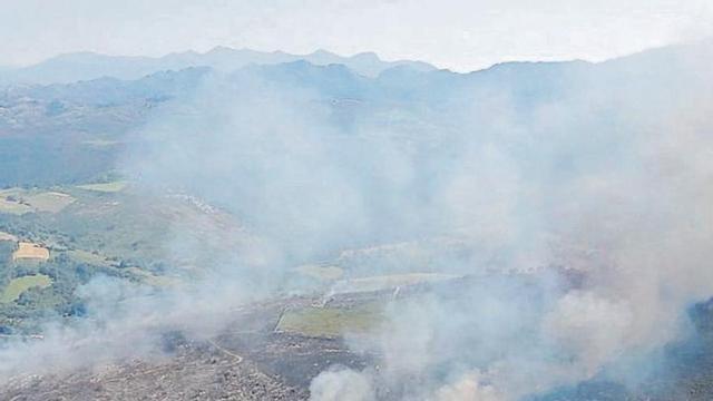 Un incendio quema matorral en Peñamellera | BRIF TINEO