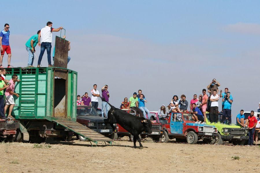 Villalpando despide los toros