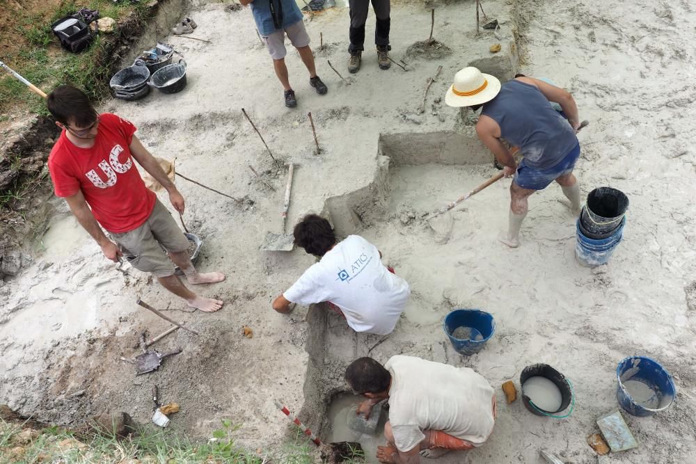 Presentaci   dels resultats de les excavacions arqueologiques del jacimient neol  tic de La Draga de Banyoles.
