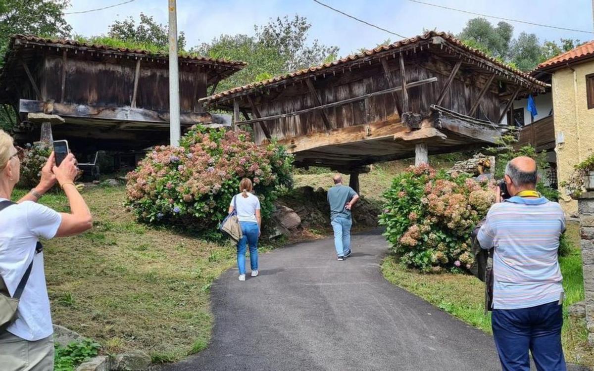 Participantes en una de las visitas a los hórreos. | LNE