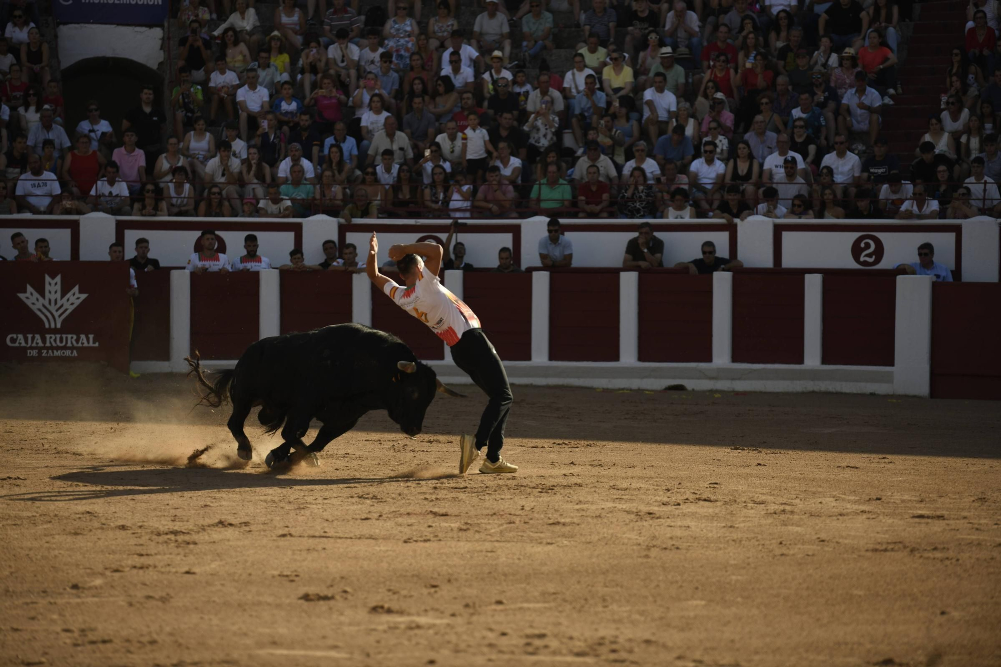 Concurso Recortadores San Pedro 2025