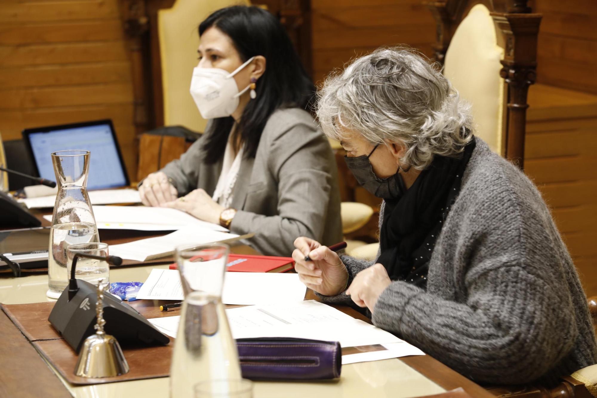 Pleno municipal de enero en el Ayuntamiento de Gijón.