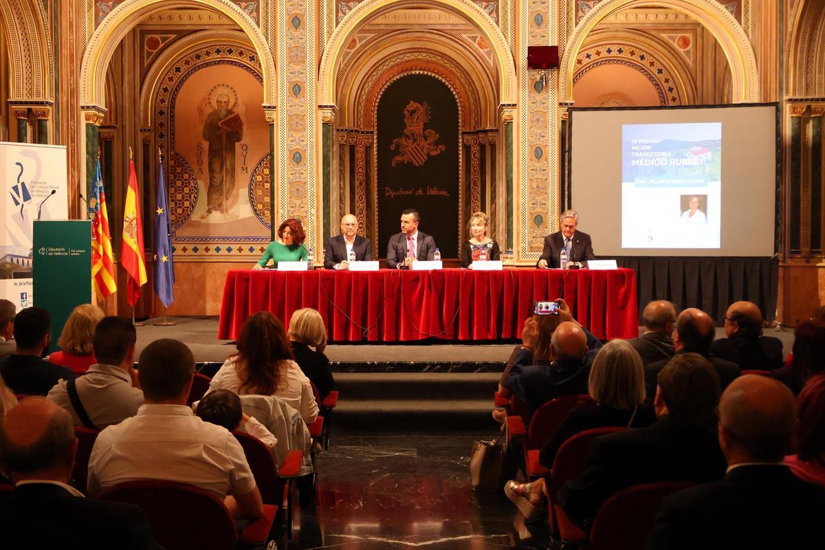 El galardón se ha entregado esta tarde en el Salón Alfons el Magnànim del Centre Cultural La Beneficència de València.