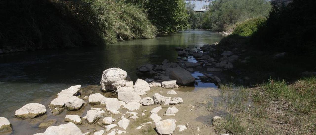 Estado que presenta estos días el cauce del Xúquer en el término municipal de Alzira con el Pont de Ferro visible al fondo de la imagen.