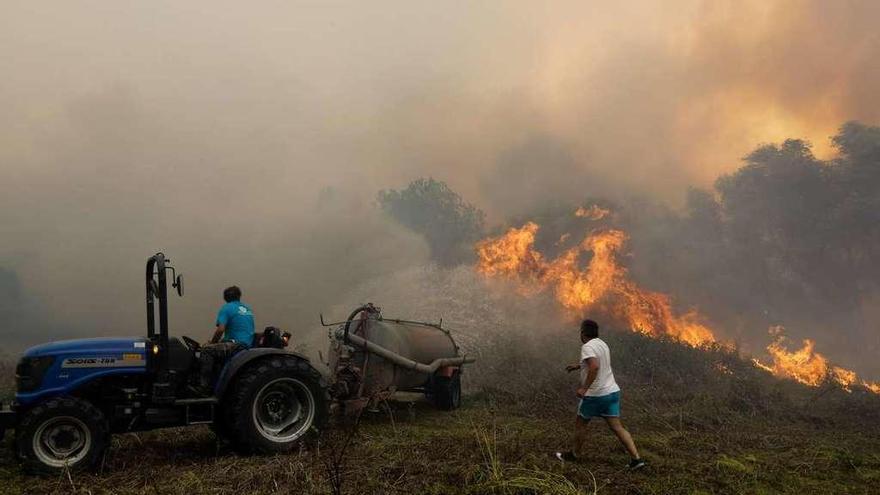 Unas personas intentan combatir el avance del fuego, ayer, en Mealhada, en el centro de Portugal. // Efe