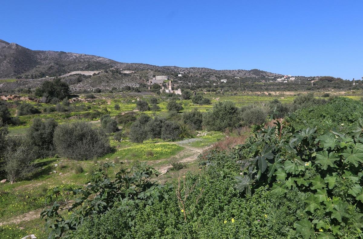 Terrenos en la zona de Rojas Santa Tecla, junto a Churriana, en Málaga capital.