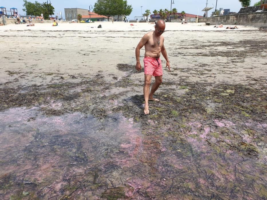 La playa de Bouzas, bañada por un manto rosado