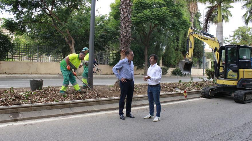 Reducen el consumo de agua en las jardineras de la avenida Príncipe Salman