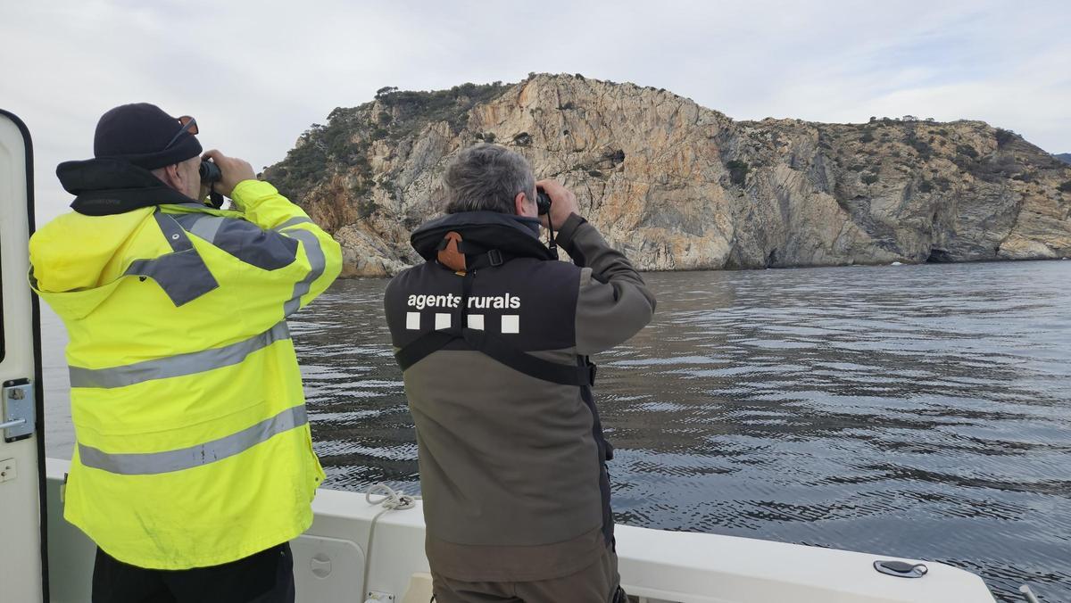 Recompte a tocar les Medes.